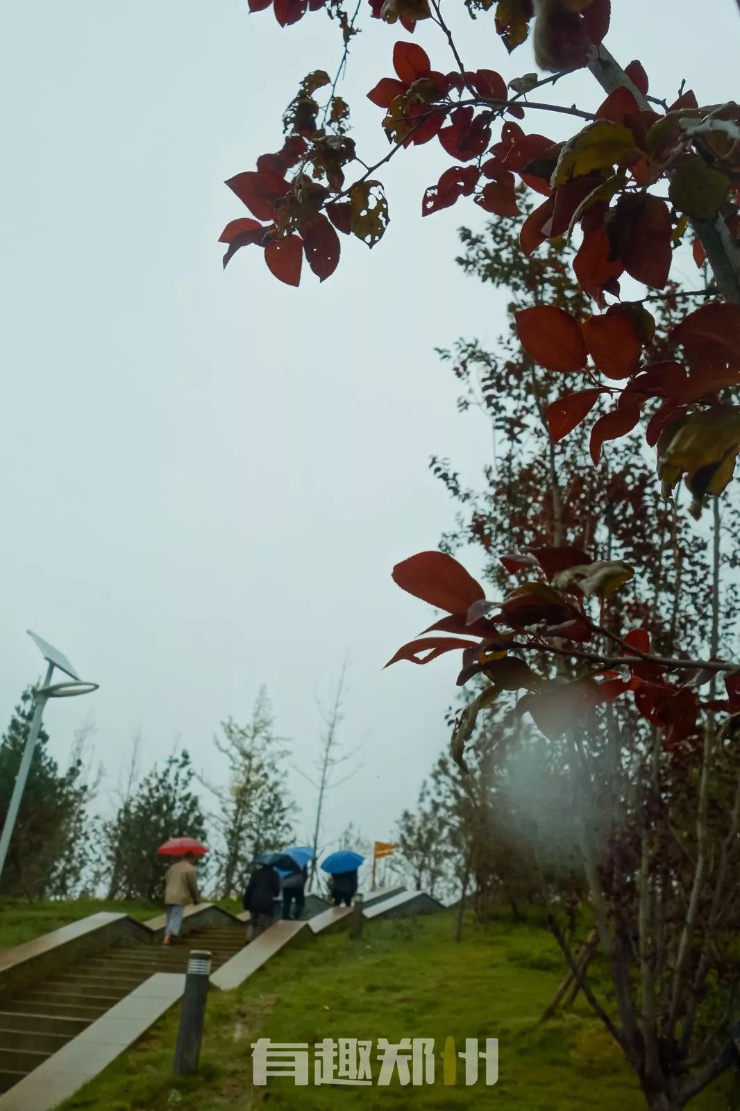 郑州国庆附近免费的景点推荐,国庆假期郑州免费景点