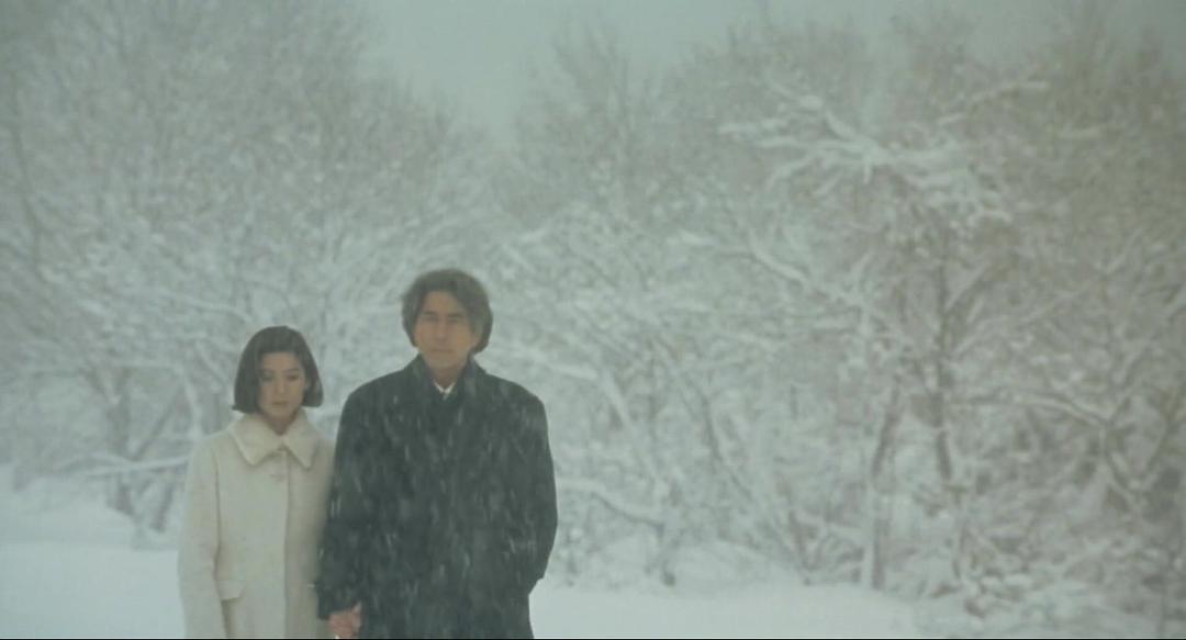 日本讲婚外情的著名小说,描写婚外情的日本小说