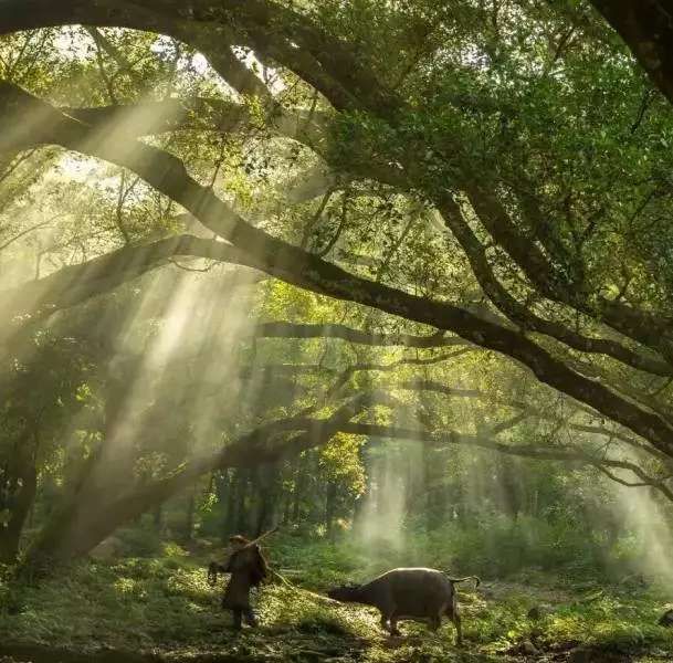 福州周边适合一日游的古村落,福州四个古村