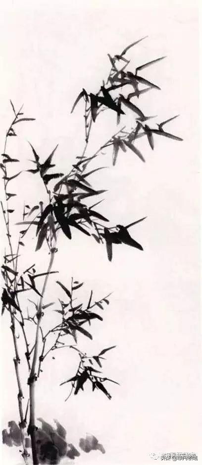 国画教程竹子的写意画法,国画写意竹子画法步骤