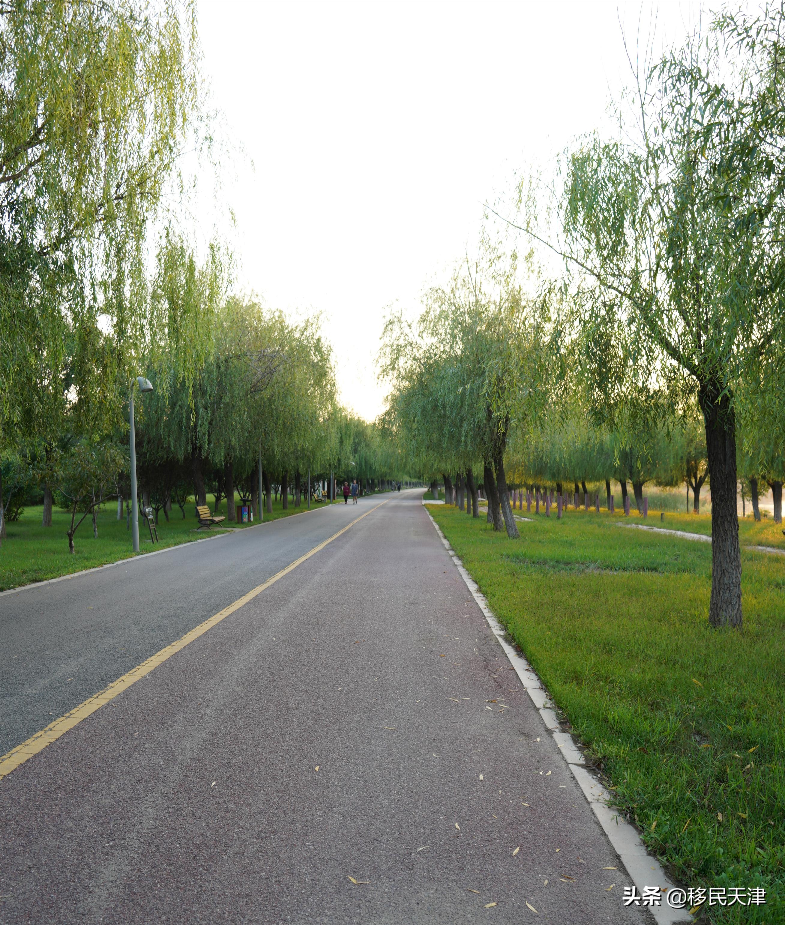 天津武清区最新买房政策,武清南湖房价下跌最惨一览表