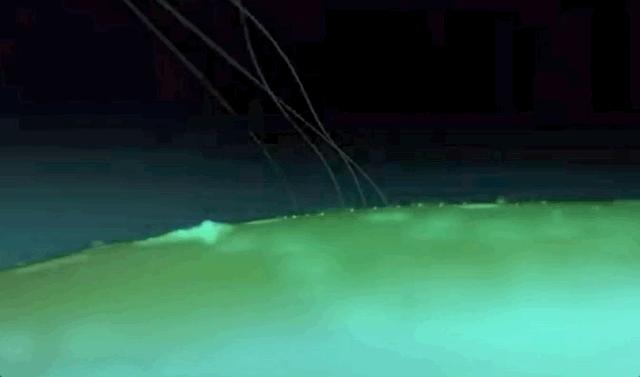 未来马斯克最新机器人,马斯克宣布脑机接口患者恢复