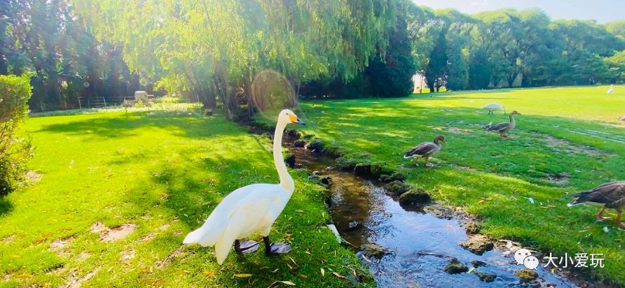 北京庄园旅游景点推荐,北京亲子庄园游玩推荐