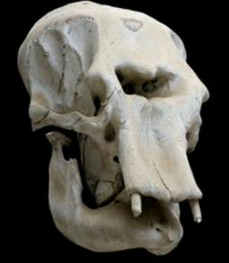 有图有真相有依据,有图有真相眼见为实