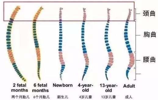 宝宝睡觉滚来滚去，枕头的存在重要吗？孩子多大才能用枕头？