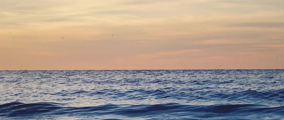 上海华美整形失败事件,上海华美最新事件