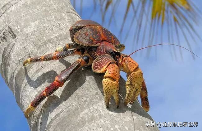 美国塞班岛风景迷人,美国塞班岛旅游景点视频
