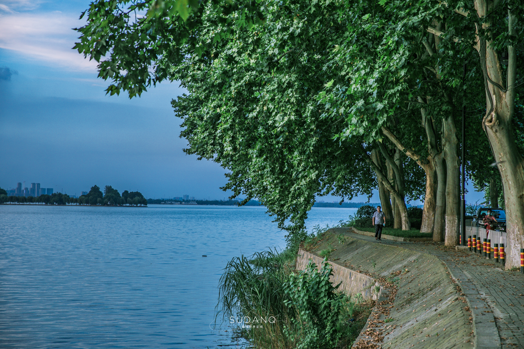 武汉脏乱差街道,武汉街道脏乱差图片