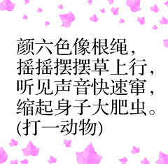 72个趣味谜语孩子越玩越聪明,100个趣味儿童谜语及答案