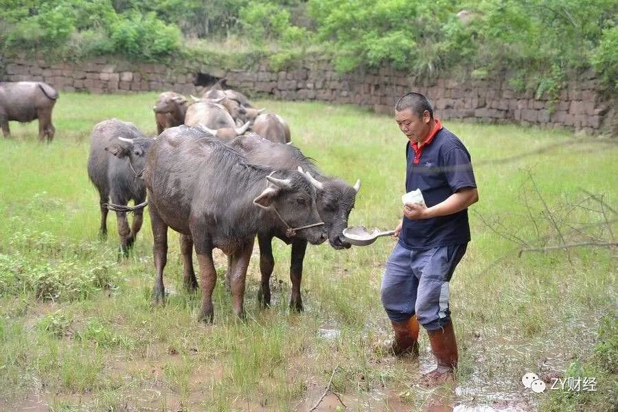 吕梁地区的中阳县和石楼县只差一个中钢的距离？