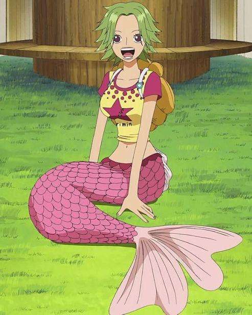 海贼王里十大最漂亮的女性,海贼王女性角色介绍大全