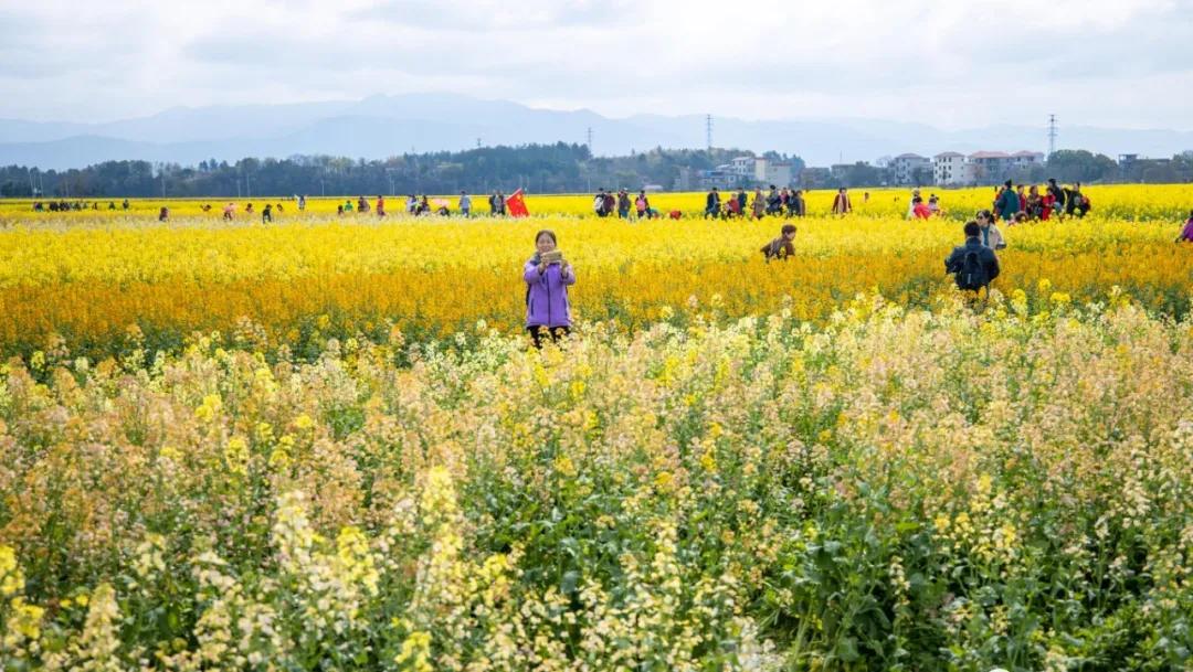 为什么最近南昌人这么多,这几天为啥南昌人这么多