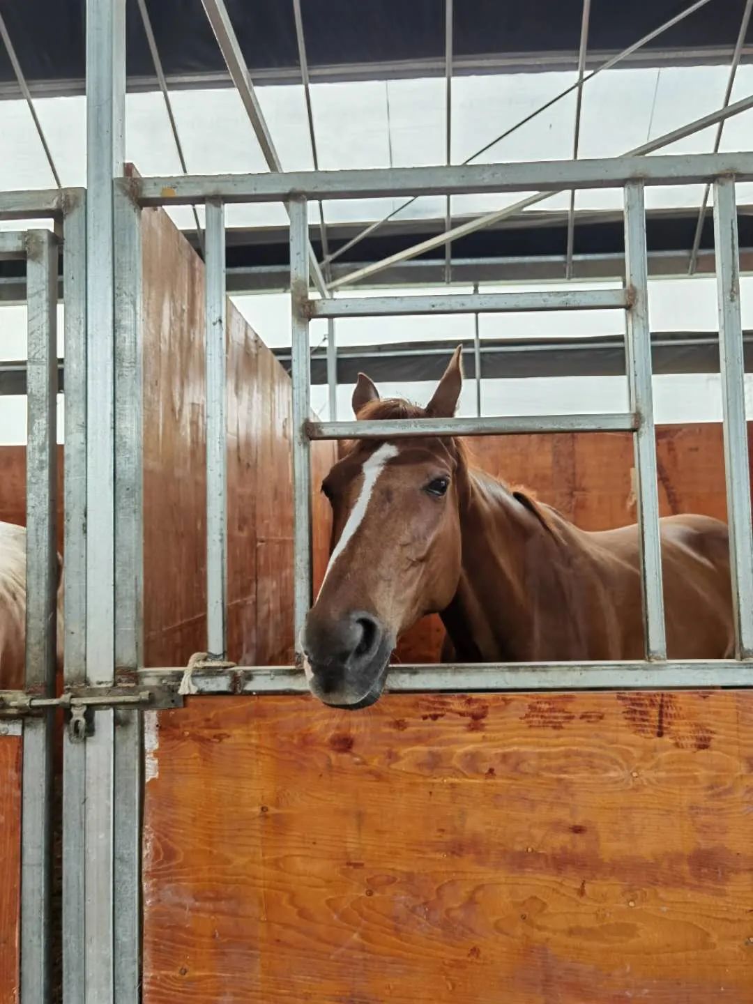 未来的杭州西湖,浙江杭州新西湖