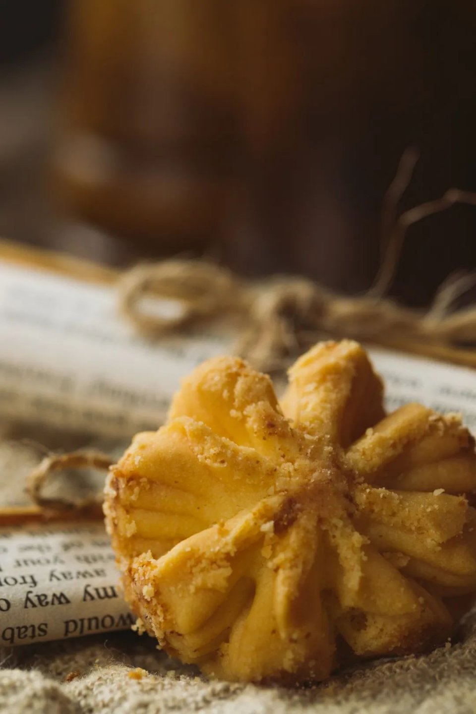 网红小熊曲奇,网红小熊曲奇最新视频