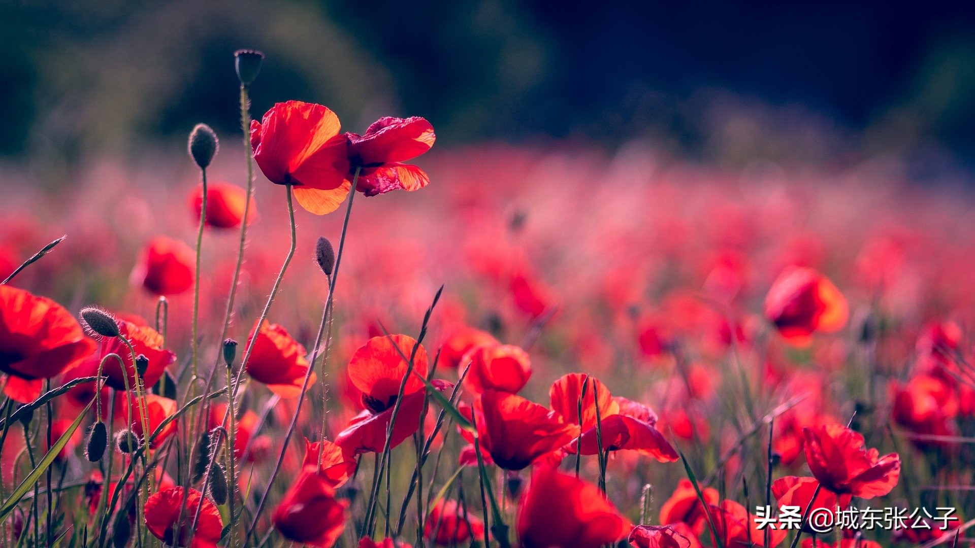 女人和蓝颜知己，可以长久相处吗？可以，但是需要做到这几点