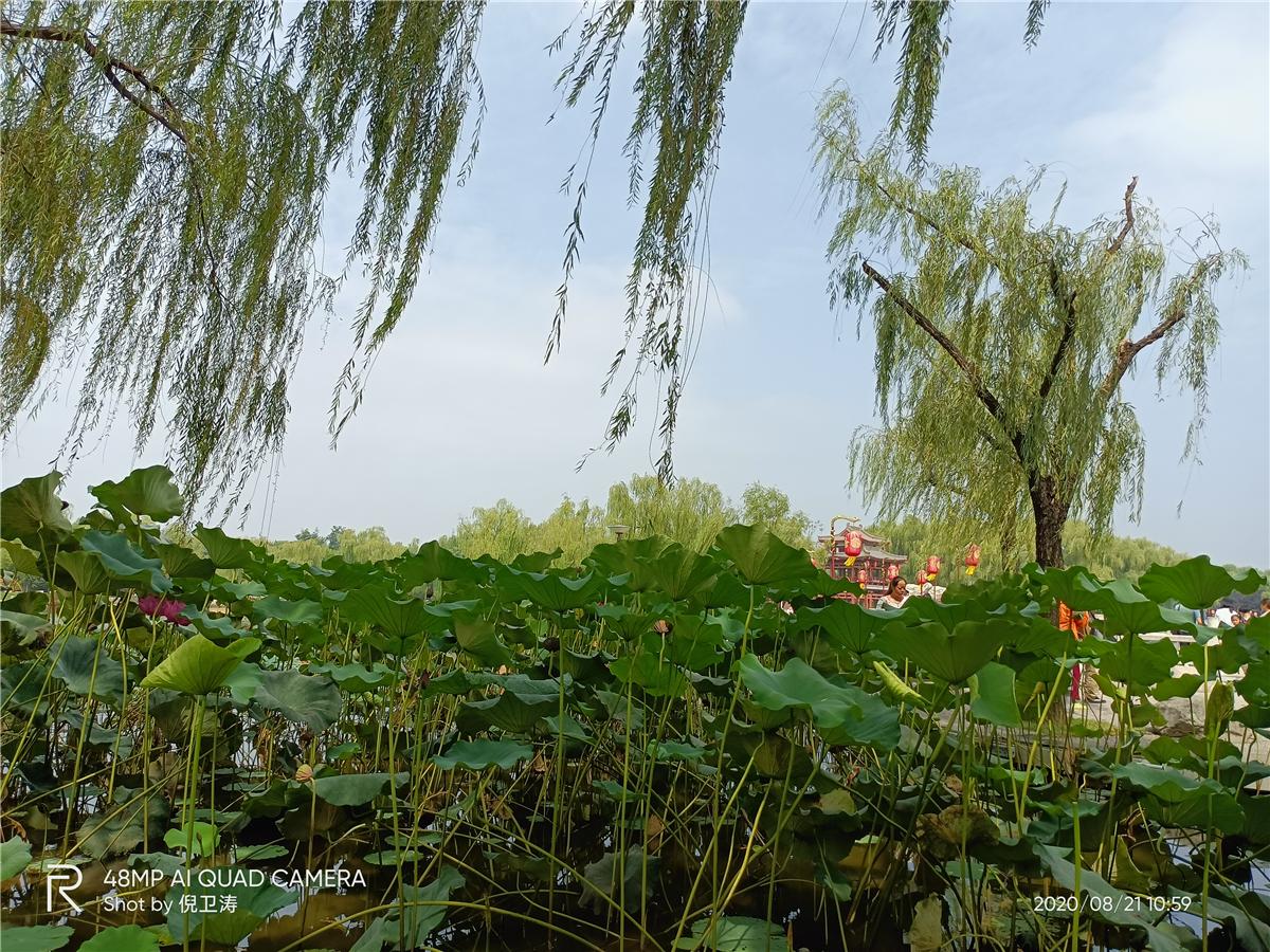 真我v55g,真我v5对比v15