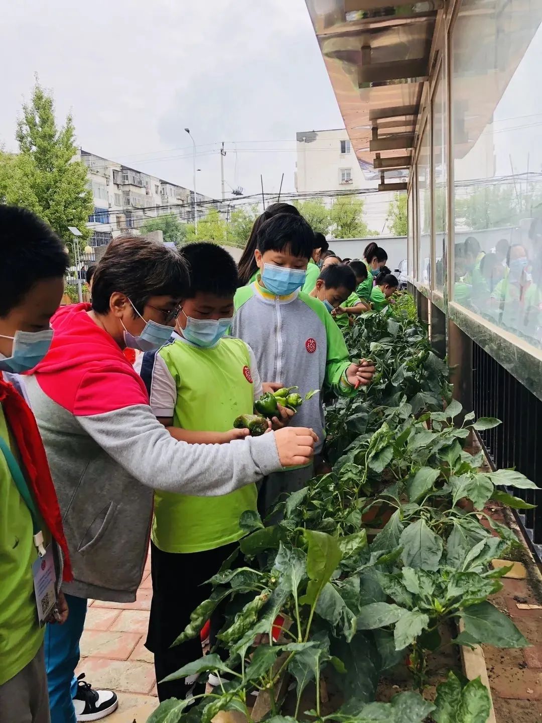 北京所有小学排名一览表,北京30所小学排名一览表