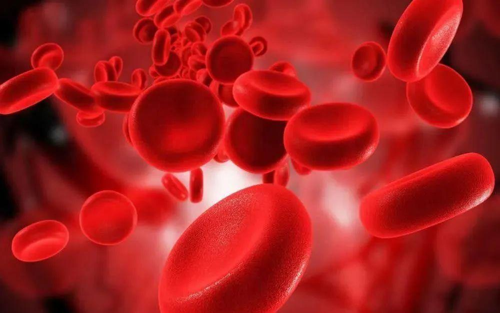 大健康行业成新蓝海,大健康成为发展浪潮