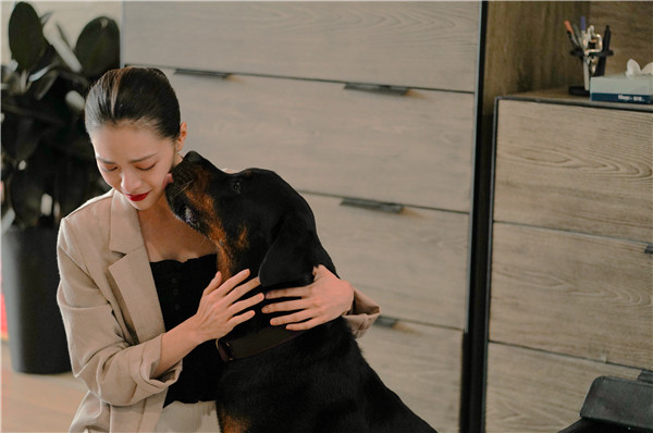 2019年最后一天写给最爱的人,2019年最后一天祝福你