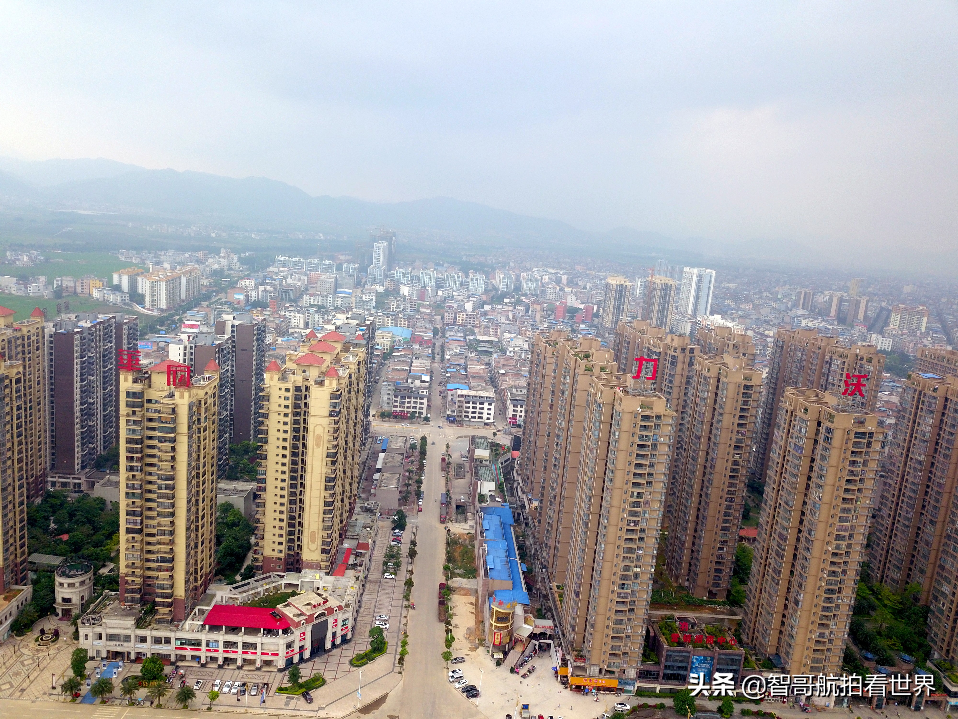 广西宾阳炮龙乡视频,宾阳炮龙之乡新闻