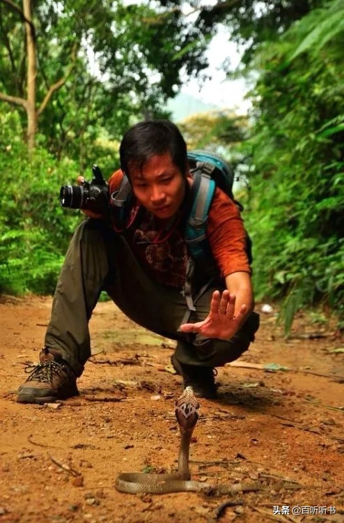 张亮：从《山海经》到《捕蛇者说》，解开蛇的奥秘