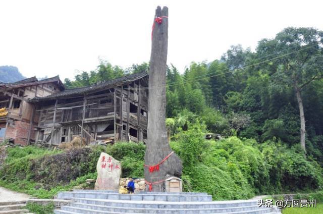 贵州清凉一日游,贵州黔南春季旅游攻略
