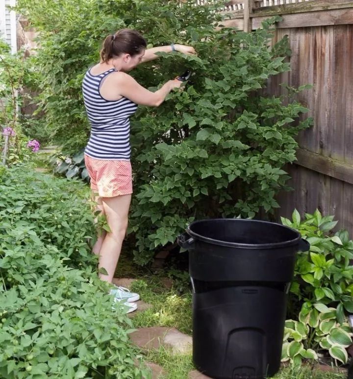 露台上的植物怎么过冬,植物过冬的方式有哪些