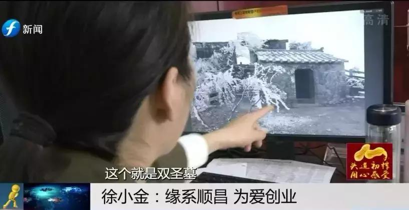 幸福的爱情模样,爱情幸福的模样1-40集免费观看