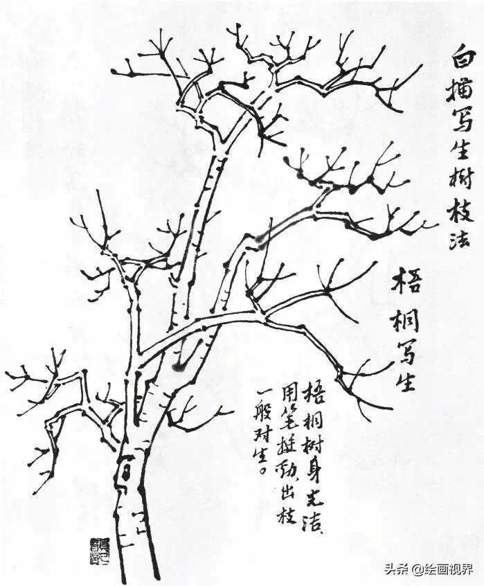 树枝怎么画最简单又好看图,工笔画树的画法视频
