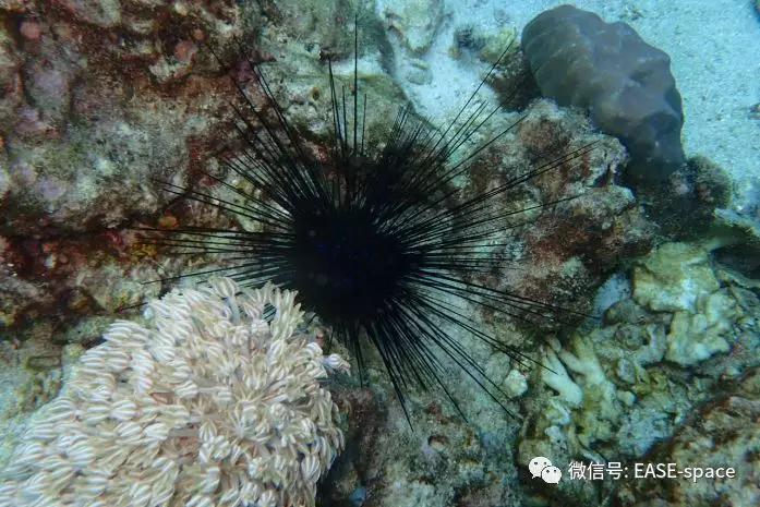 云在海在岁月在-欧菲·艺烁团队长滩岛自由行