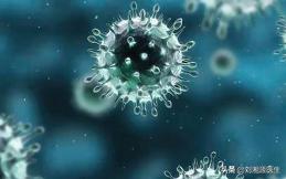 免疫不良妊娠怎么处理,免疫治疗不良妊娠的方法