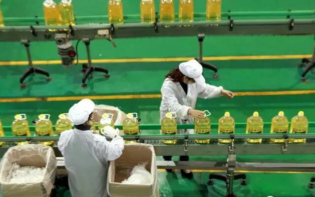 什么小厂子好找销路,农村家庭开个什么小厂子能挣钱