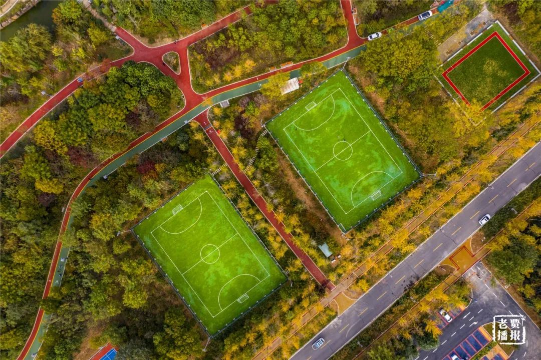 洛阳最新免费公园,洛阳公园免费