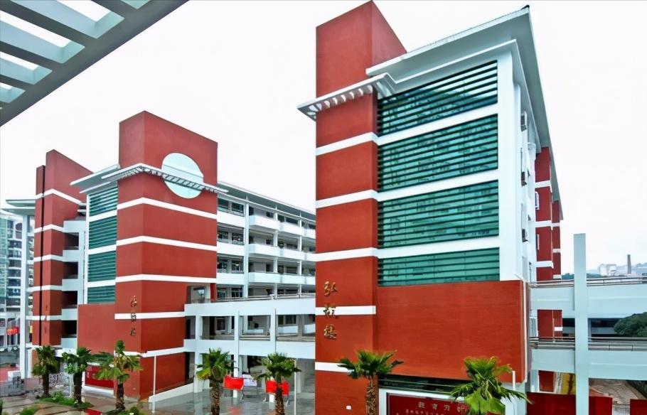 厦门初中高中排名,厦门排名前十的小学哪几所