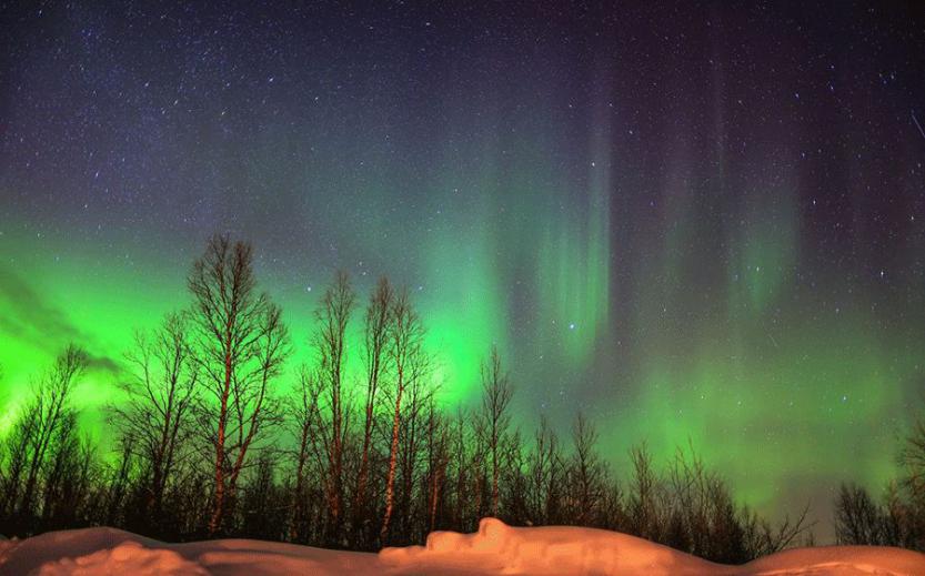 他叫辛巴，不是狮子王，8岁穿越12国：最好的教育，永远在路上