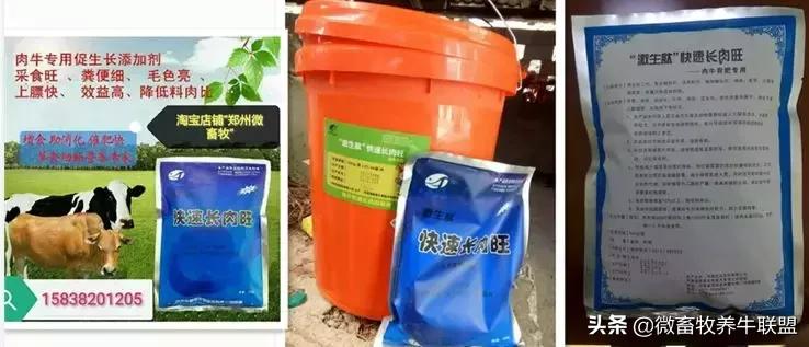 办养牛合作社的资本运营模式,办养牛合作社第一步