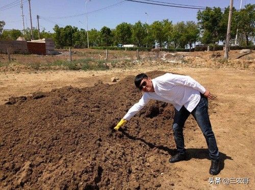 农村什么事业最赚钱,农村最赚钱的几种工作