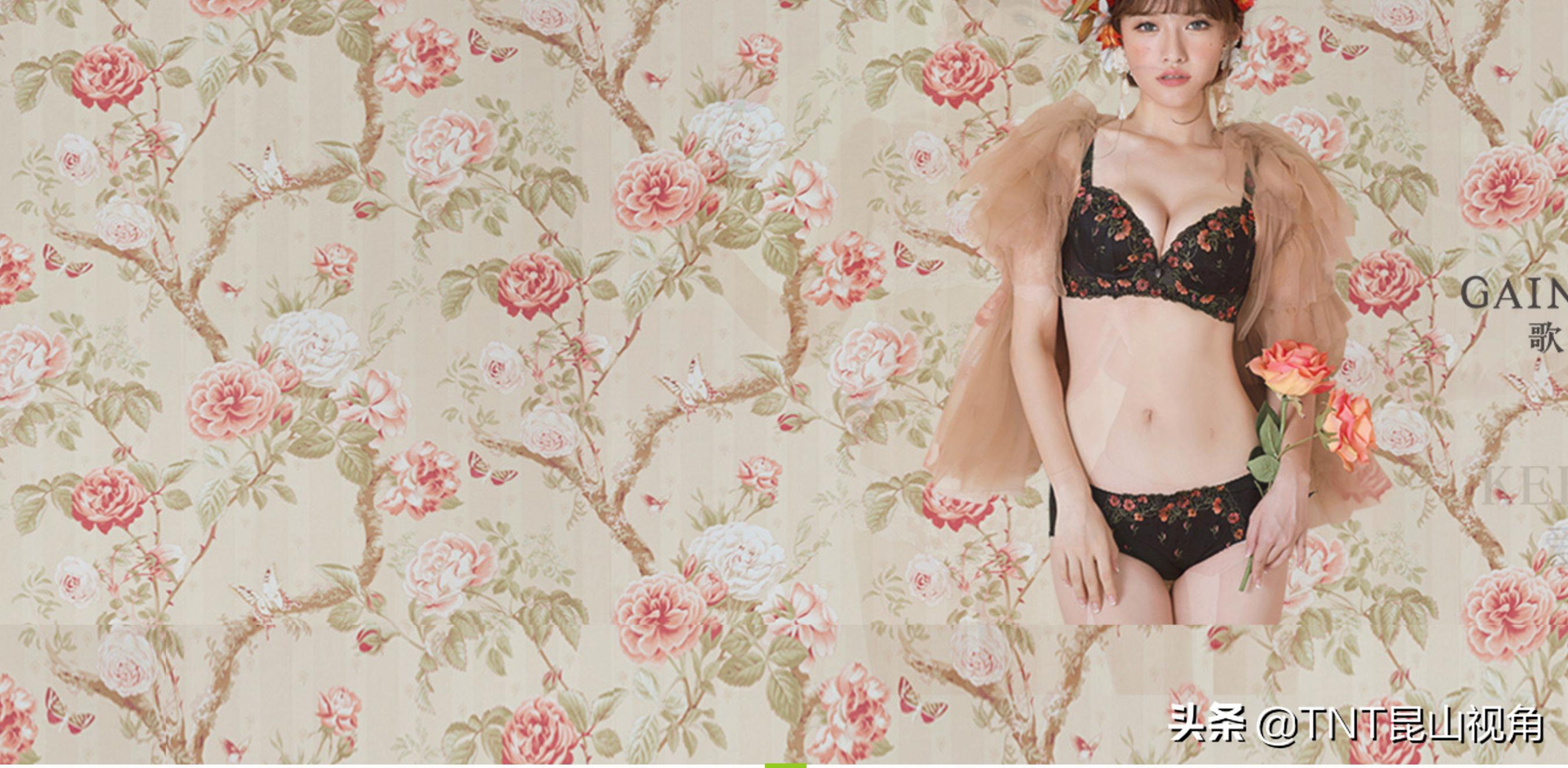 美背内衣品牌排行榜前十名,内衣排名前十品牌美背文胸