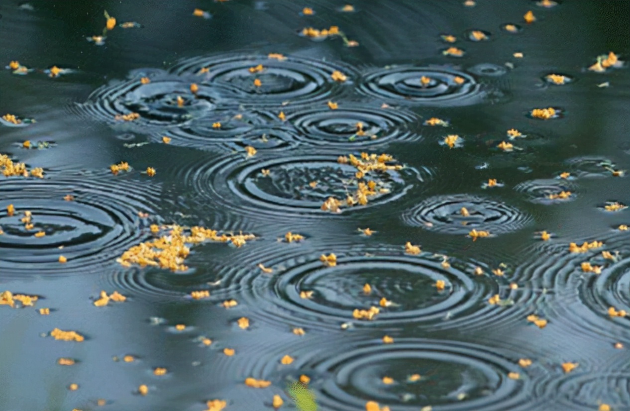 金桂香洒长沙“全洲医械云仓汇”