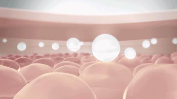 资生堂蓝胖子防水防汗测评,蓝胖子防晒霜资生堂清爽型