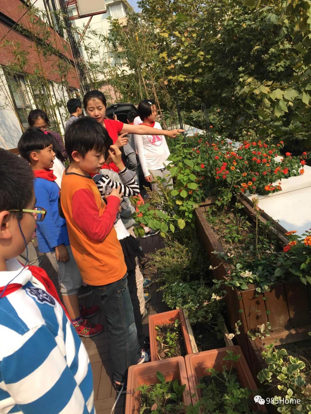 985home,上海师范大学附属小学梯队