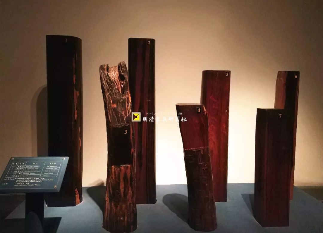 紫檀的真实身份,紫檀的一生