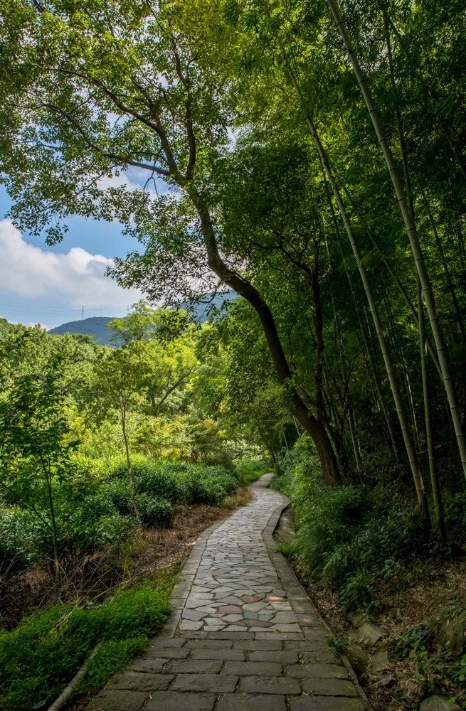 爬完所有雪山就释怀,爬完所有的名山