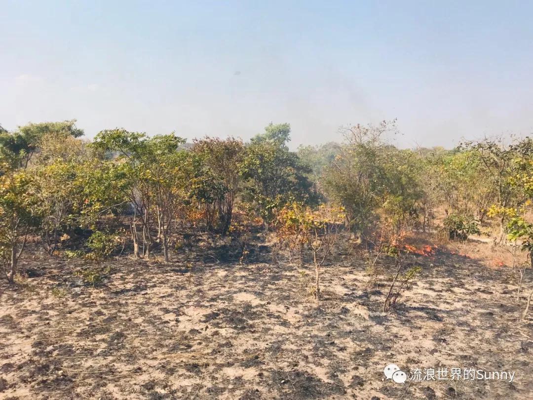 流浪非洲，乘坐中国援建火车去赞比亚，满满的亲切