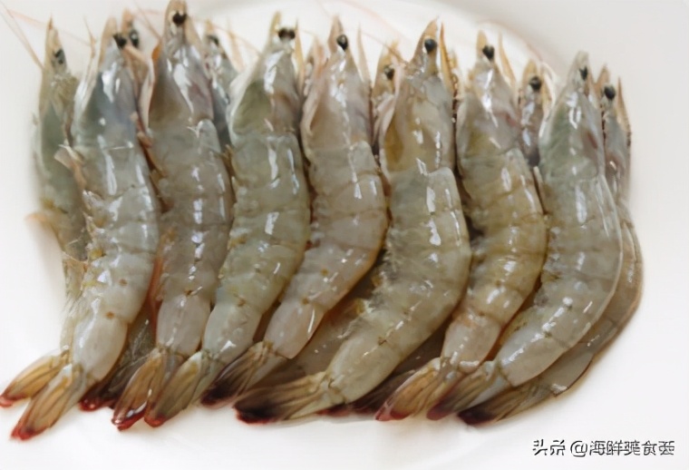 沿海最好吃的菜,好吃的小海鲜都有哪些