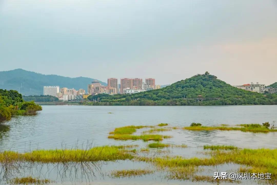 深圳完全免费的十大景点,深圳10大免费景点上集