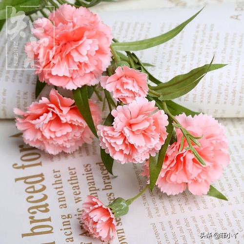 教师节送什么颜色的鲜花,教师节送花送什么颜色好