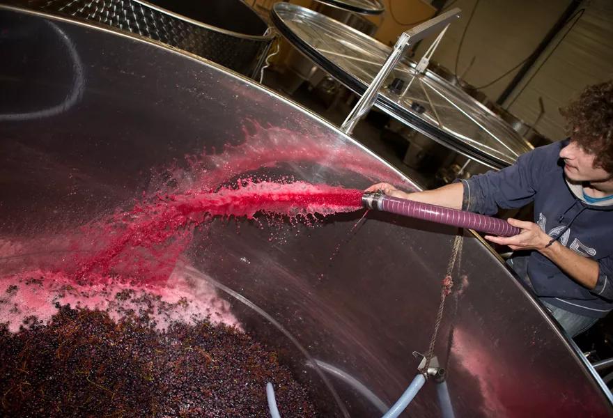 红葡萄酒的酿造过程,红葡萄酒酿造流程说明