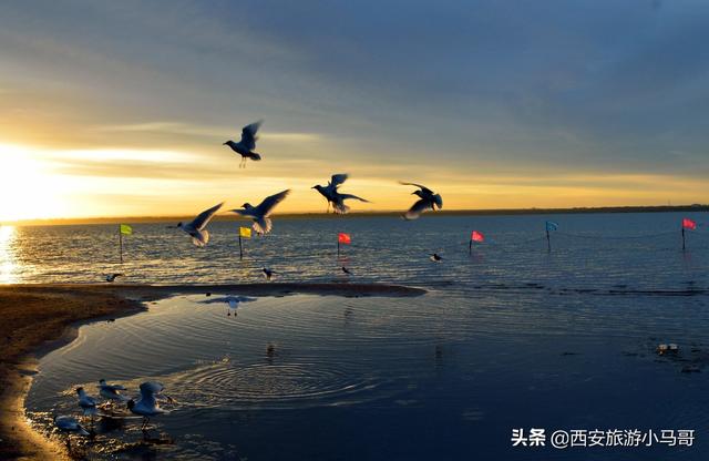 黄河揽怀南下、长城横腰西飞的神木市，富得流油却低调