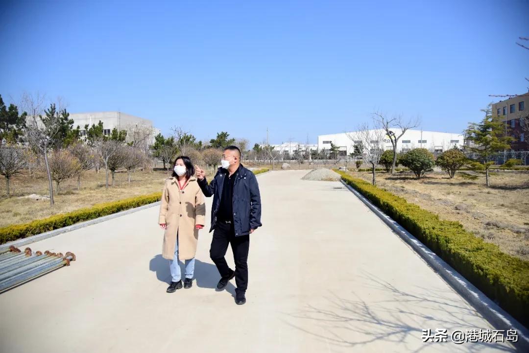 国企扎堆选择石岛，何为？